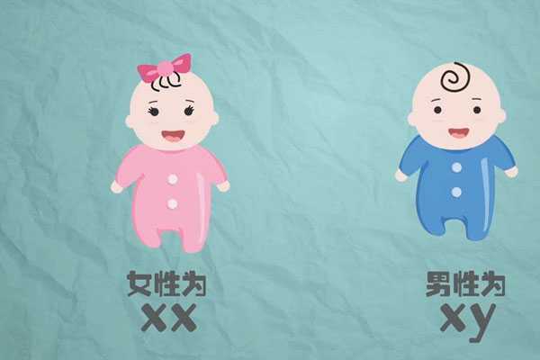 香港邮寄验血查性别,想生儿子禁欲多少天最好？男人备孕生男孩最好是禁欲几