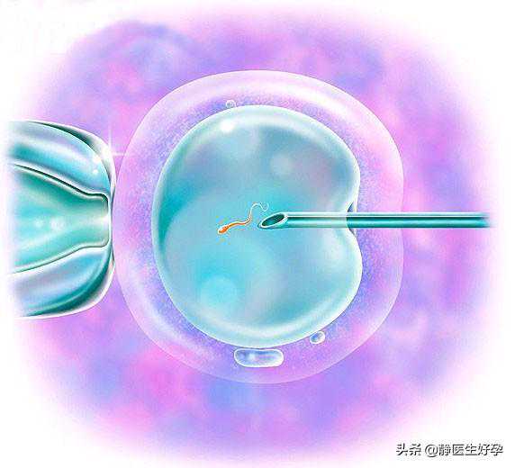 香港验血官网上查得到嘛,促排卵会影响女性卵巢？备孕女性该怎么养卵！